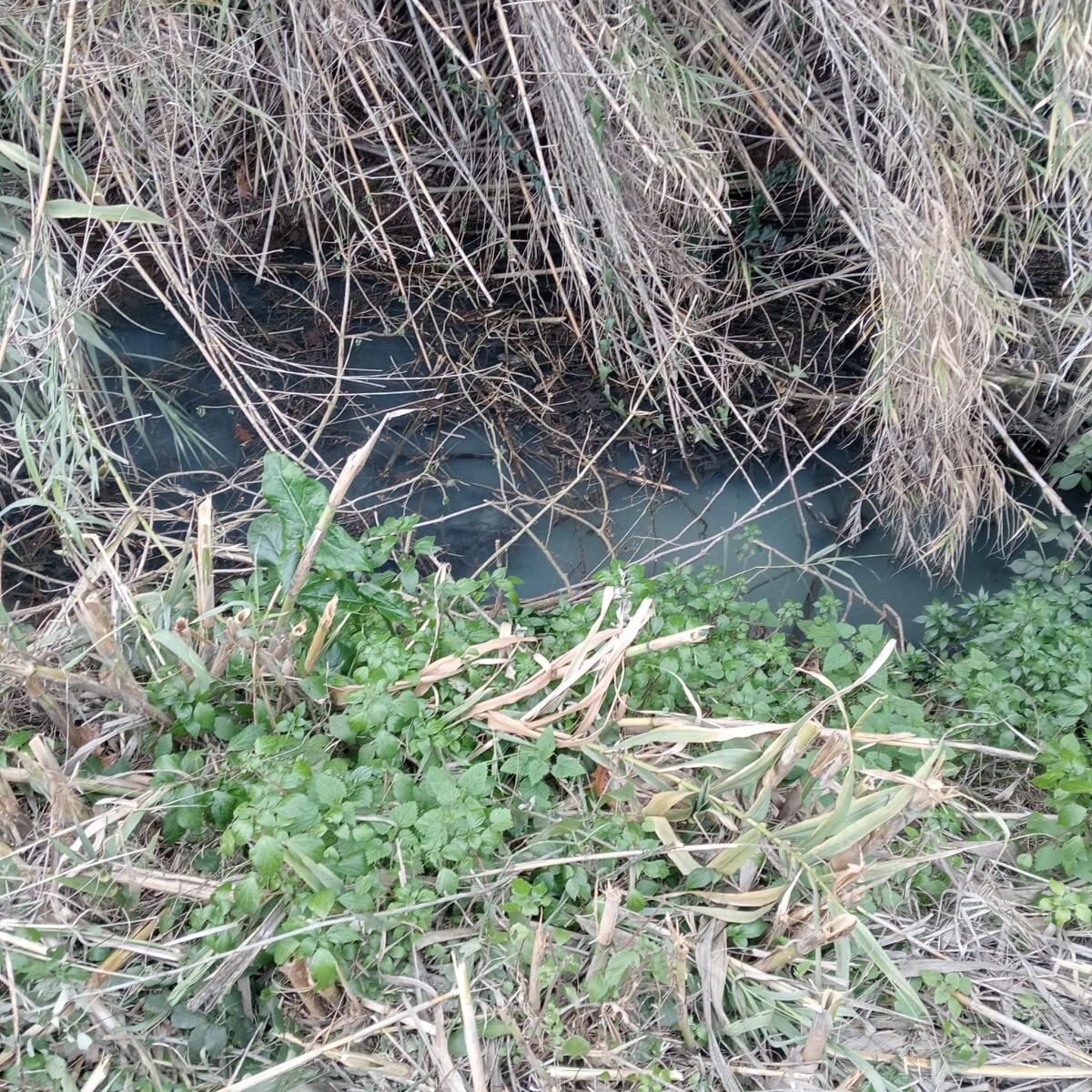 Aprilia - Miasmi continui e un sospetto  sversamento, nuovo sopralluogo di Comune e polizia locale - 