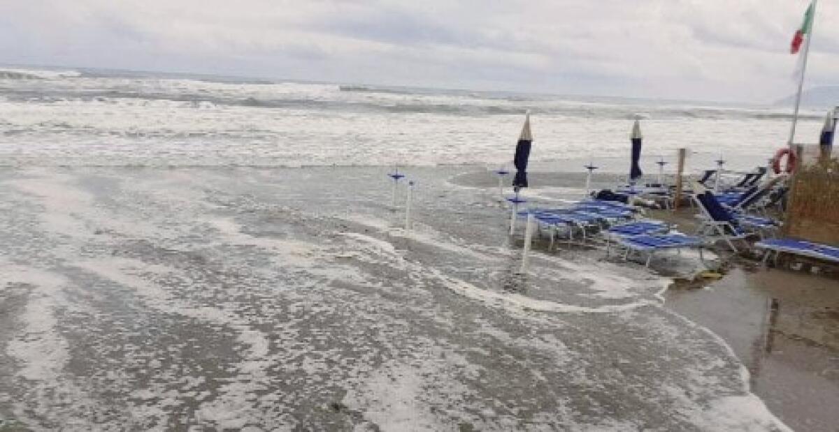 Maltempo - Danni alla marina di Latina, due alberi abbattuti ad Aprilia - 