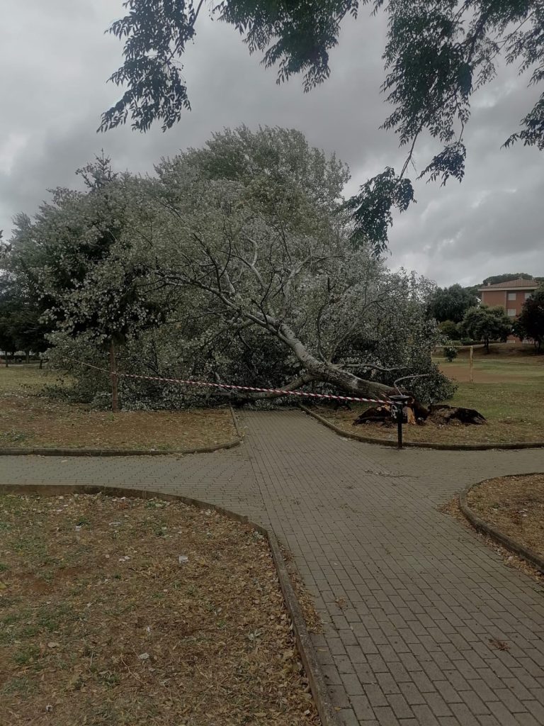 Parco Caduti di Cefalonia ad Aprilia