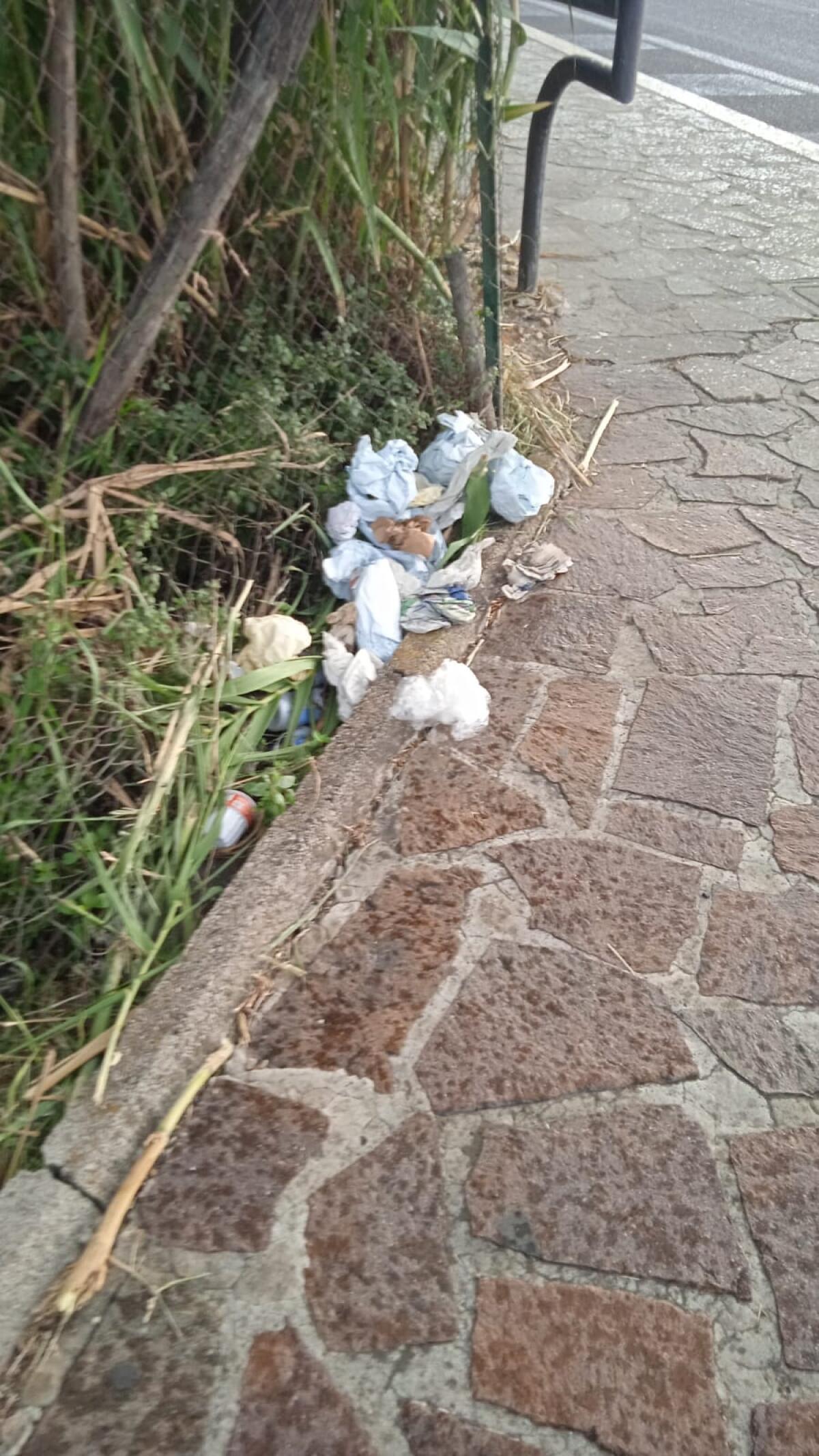 Rifiuti abbandonati, questa domenica a Fondi una giornata di pulizia con  Plastic Free. - 