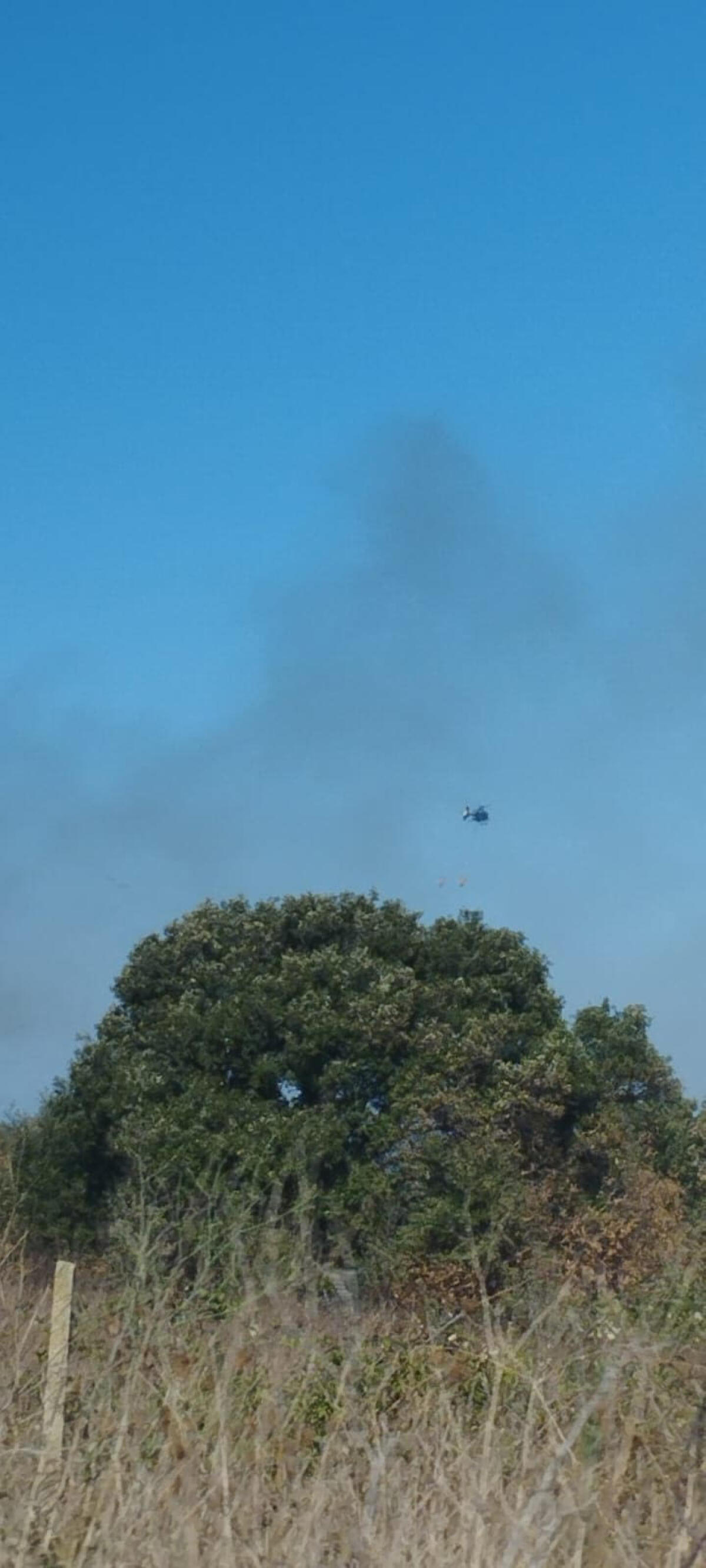 Grosso incendio a Castel Romano, brucia vasta area di macchia mediterranea - 