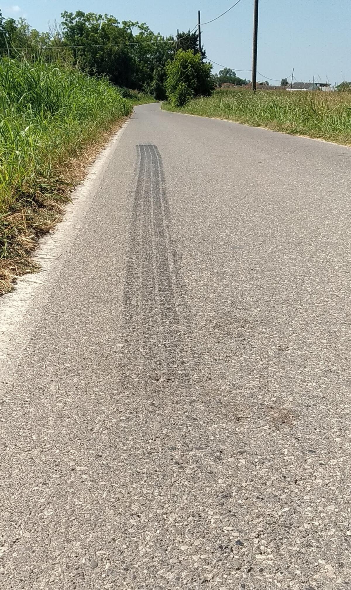 Investe un cagnolino e scappa, il cucciolo muore - 