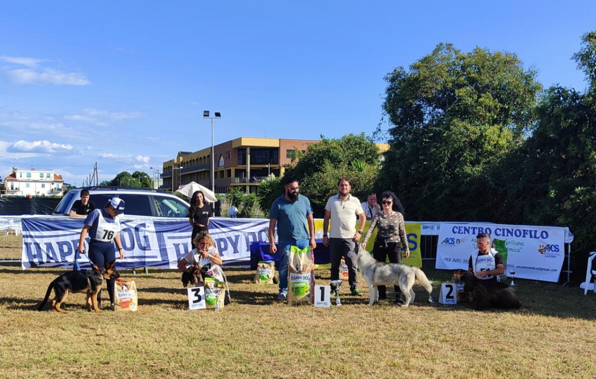 Successo ad Aprilia per la quarta esposizione cinofila amatoriale “Un Cane per Amico”. - 