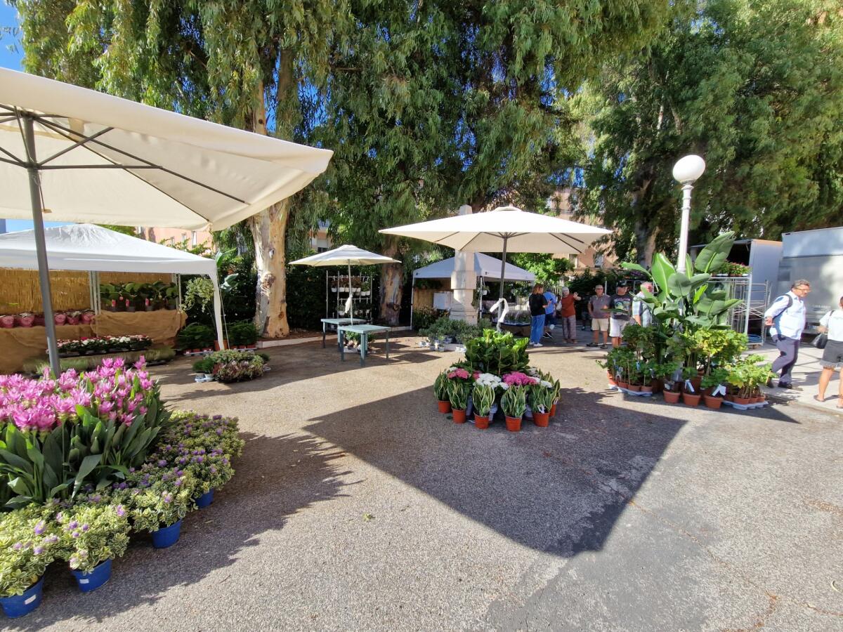 Plants&Food, l'Arena Cambellotti in fiera per questo fine settimana - 