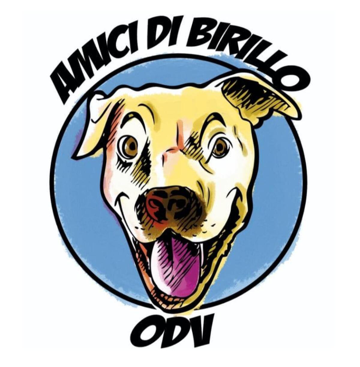 “Fuochi artificiali silenziosi per la festa di San Michele a tutela degli animali". Amici di Birillo si appella al Sindaco di Aprilia. - 