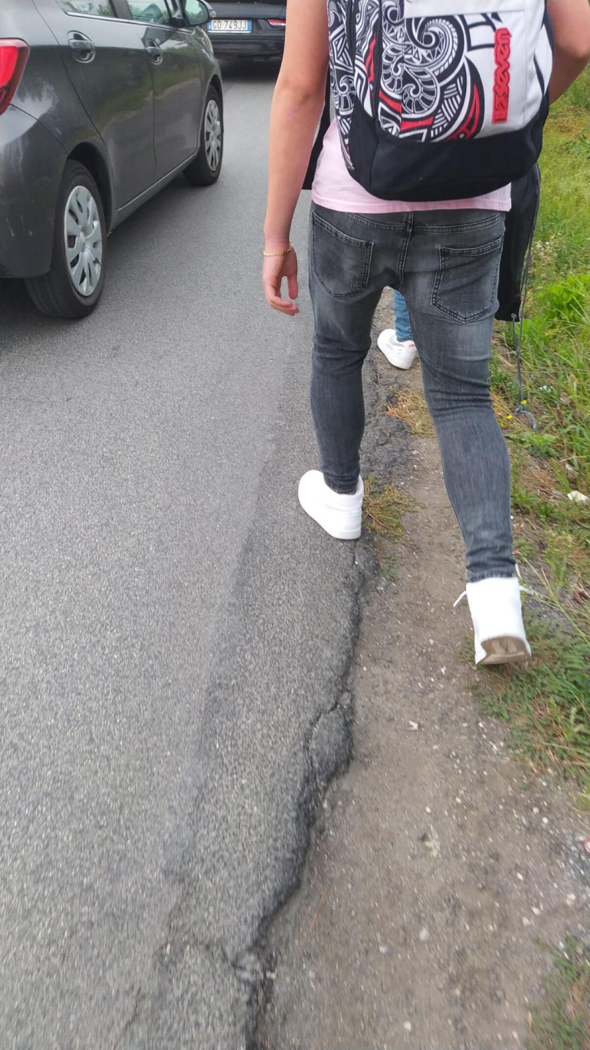 Torna la viabilità difficile di via Carroceto ad Aprilia, "Studenti a piedi tra erbacce e rovi per non essere investiti" - 