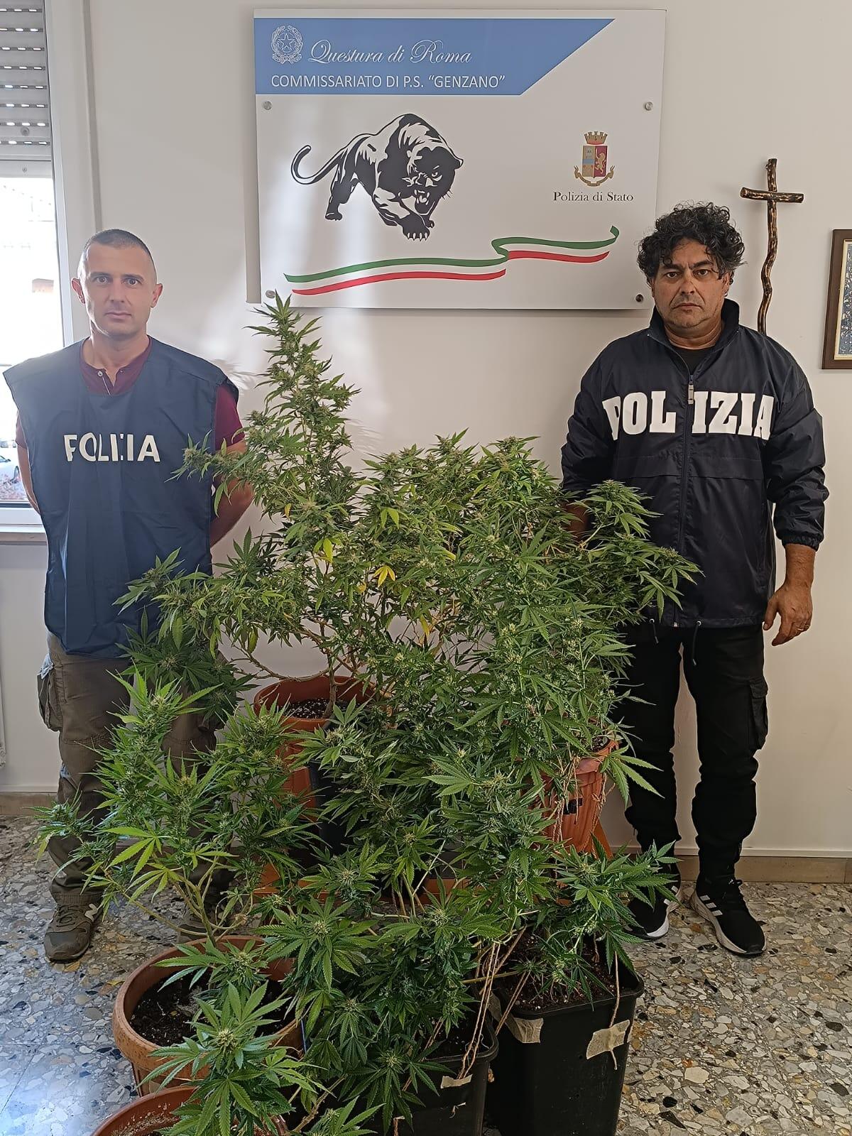 Fermato tra Velletri e Genzano con dosi di hashish, a casa 7 piante di marijuana - 