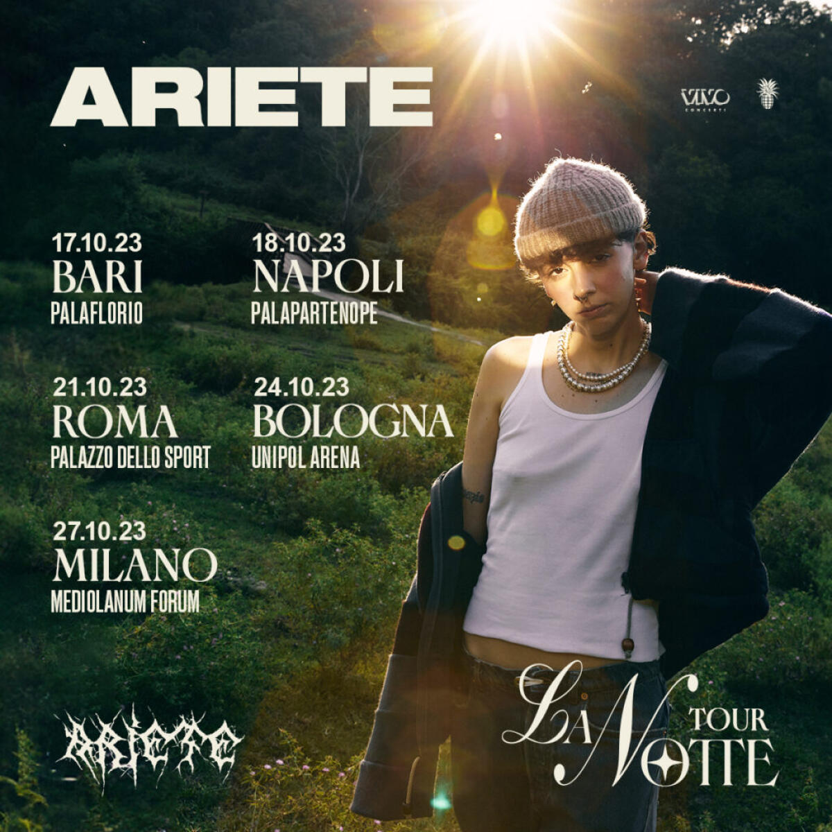 ECCO ALCUNI DEI GRANDI CONCERTI DI ROMA IN AUTUNNO/INVERNO - 