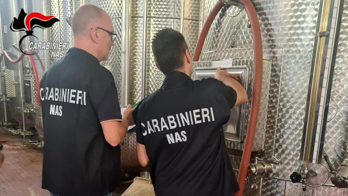 Utilizzava acqua senza certificazione di potabilità, il Nas chiude una cantina vinicola - 
