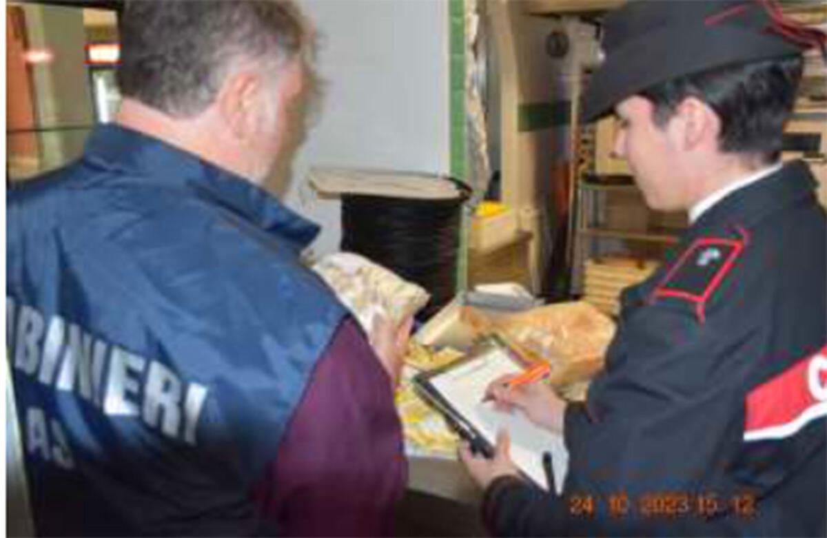 Alto Impatto, il gruppo forestale di Latina sequestra 60 chili di alimenti non tracciati - 