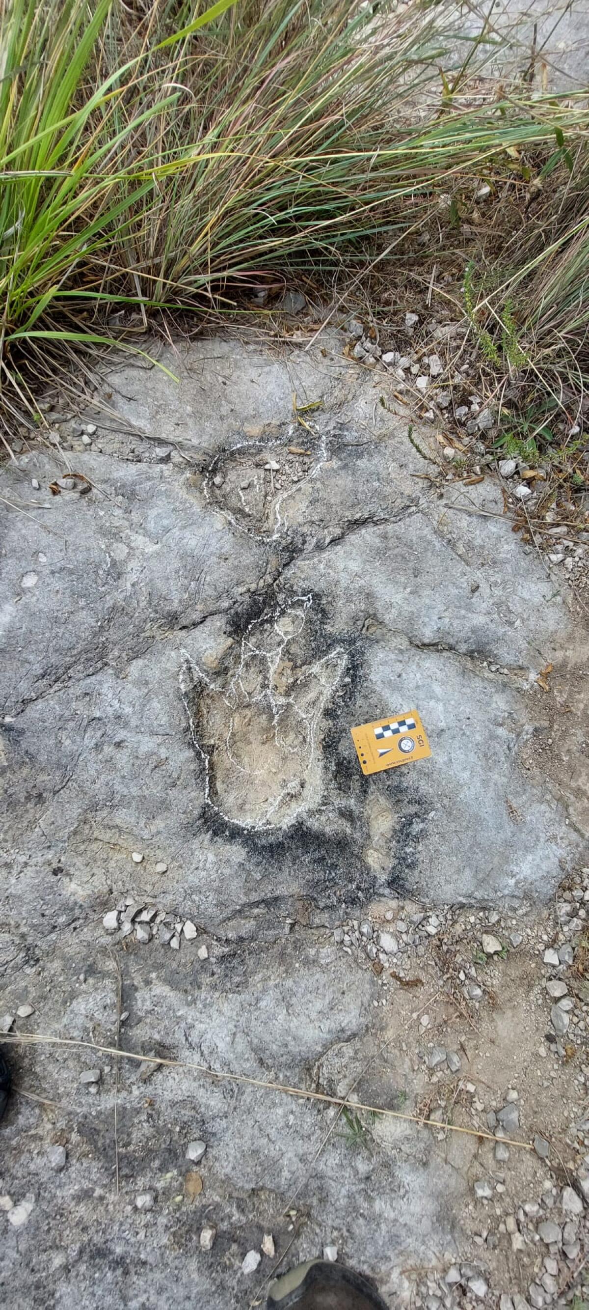 Monumento Naturale "Impronta dei dinosauri", a Sezze un piano per ripulire l'area - 