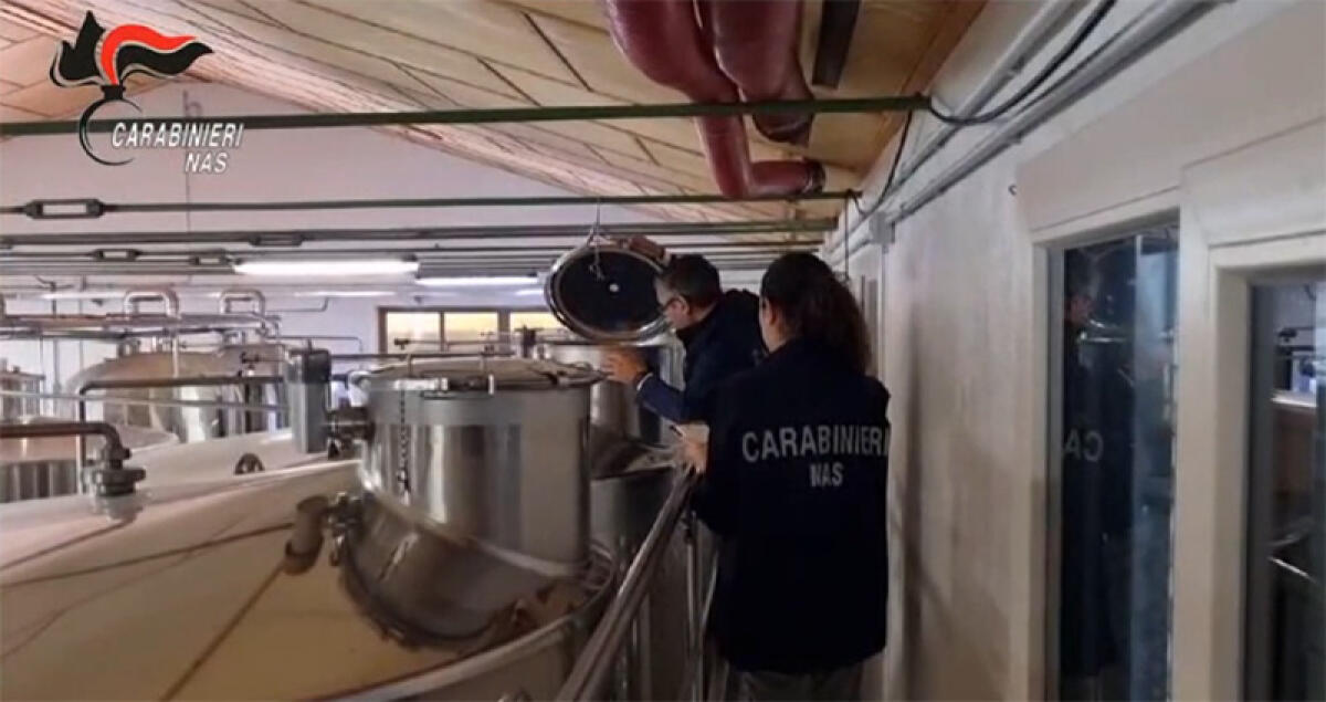 Controlli dei Carabinieri del Nas nella aziende vitivinicole: chiuse due attività nelle province di Latina e Roma. - 