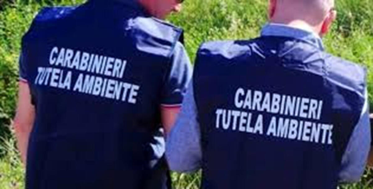 Aree scoperte e non pavimentate, irregolarità in una azienda di Sabaudia - 