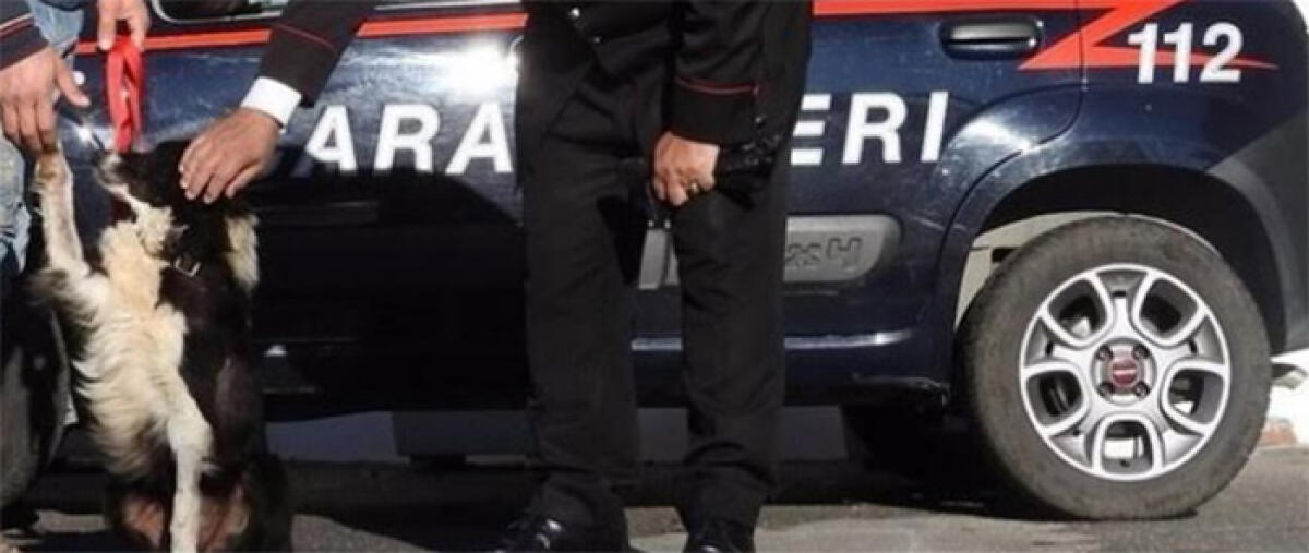 I Carabinieri di Latina raccolgono la richiesta di aiuto di una giovane e restituisco un cane smarrito alla proprietaria. - 