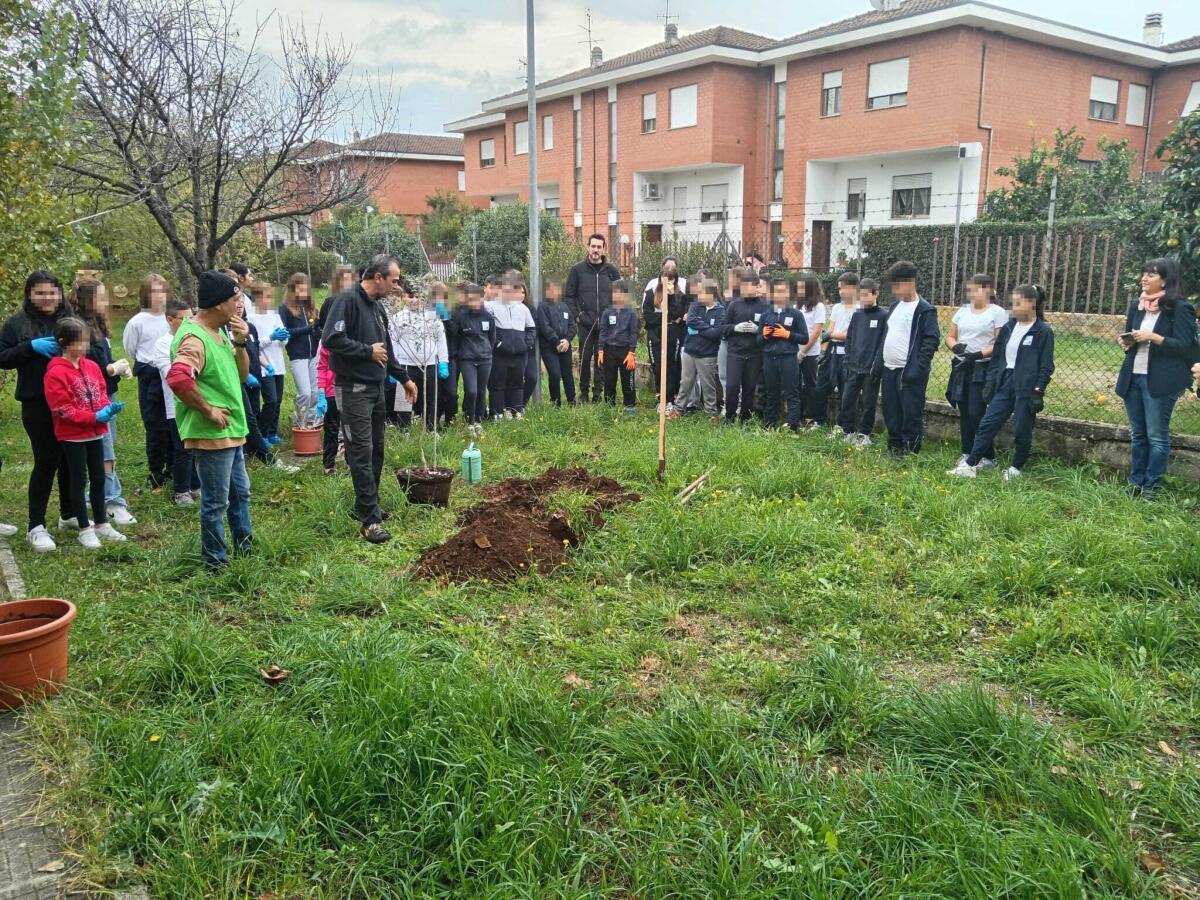 Festa dell’albero: più di 100 nuove piante saranno messe a dimora a Latina - 
