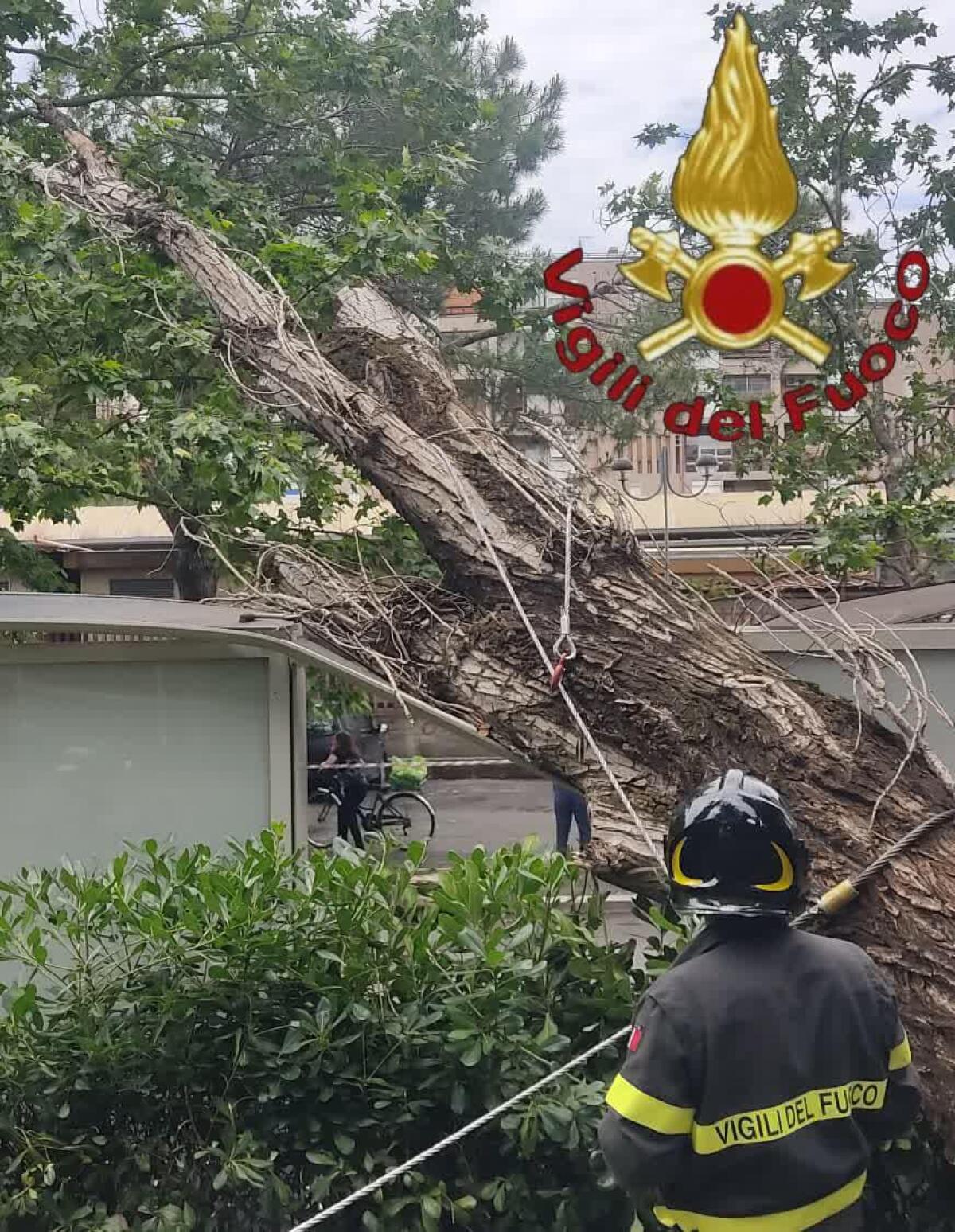 Maltempo: oltre 120 interventi dei vigili del fuoco nella notte in provincia di Roma, 80 sono ancora in attesa. - 