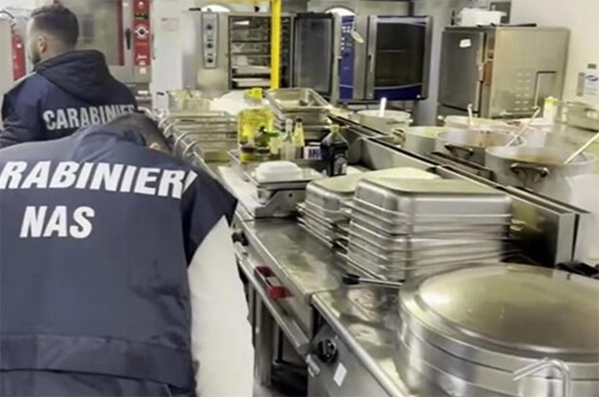 Controlli dei carabinieri del Nas di Latina nelle mense scolastiche della provincia: 11 non erano conformi. Sanzioni per oltre 11mila euro. - 