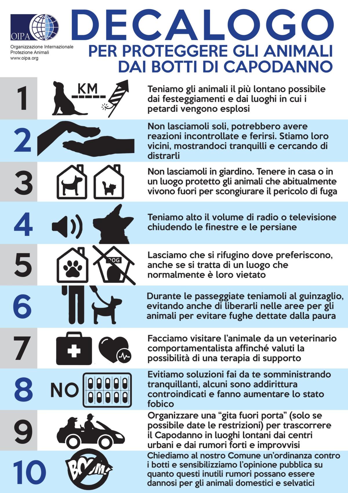 Capodanno: ecco il video-decalogo per proteggere gli animali dai botti. Il pericolo arriva anche dalle lanterne cinesi. VIDEO - 