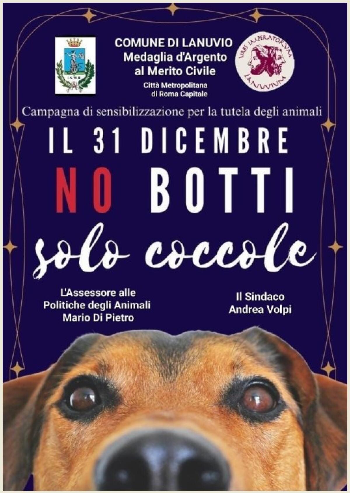 No botti, solo coccole: Lanuvio sostiene la campagna di sensibilizzazione - 