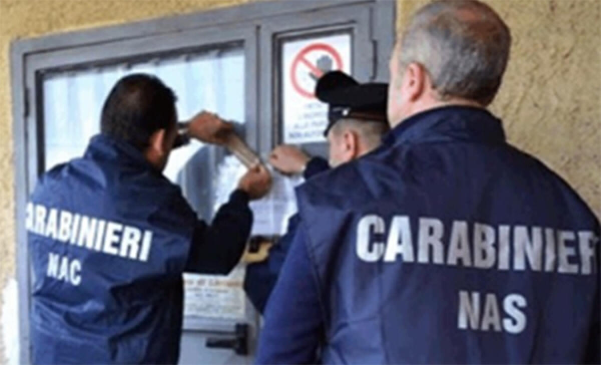 I Carabinieri ed i colleghi del Nas sequestrano un allevamento di anguille nel sud pontino. - 