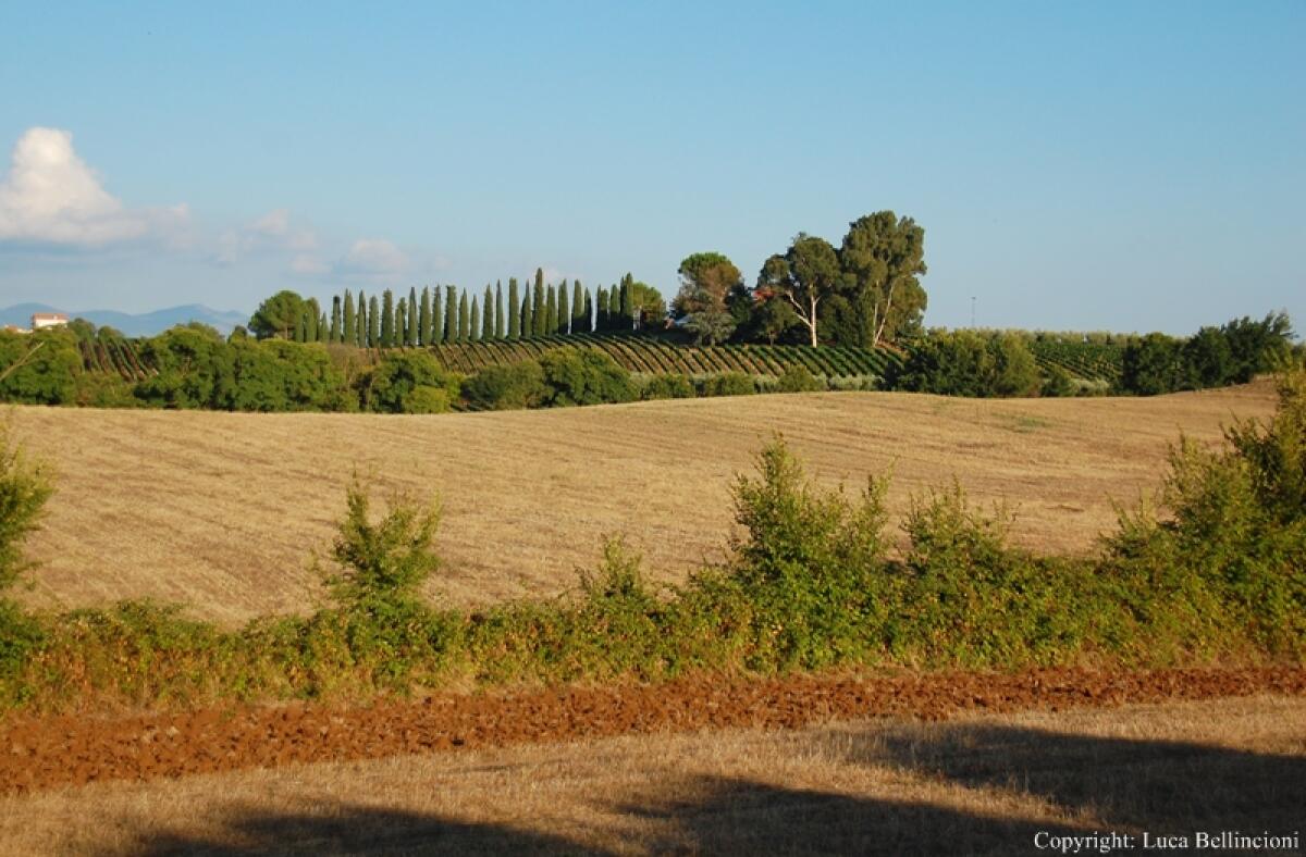 Periferie Aprilia, “La Giunta Rocca stanzia zero euro per il risanamento” - 