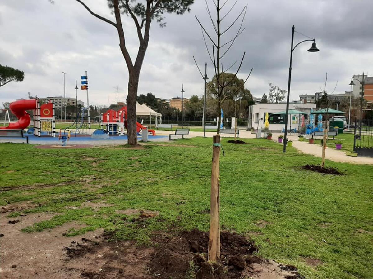 Area giochi del Parco San Marco, a Latina: integrato il patto di collaborazione per la sua cura e gestione. - 