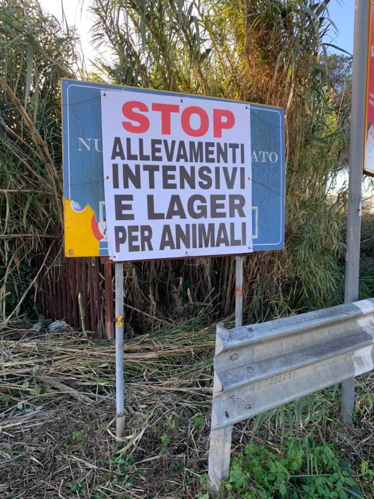 Aprilia - “No ai due pollifici, si convochi come promesso un Consiglio Comunale” - 