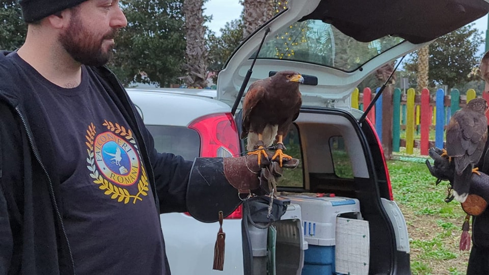i “Falconieri romani” in azione ad Aprilia