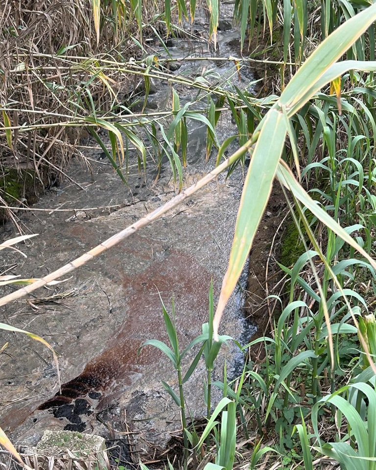 il fosso Carrocetello di Aprilia