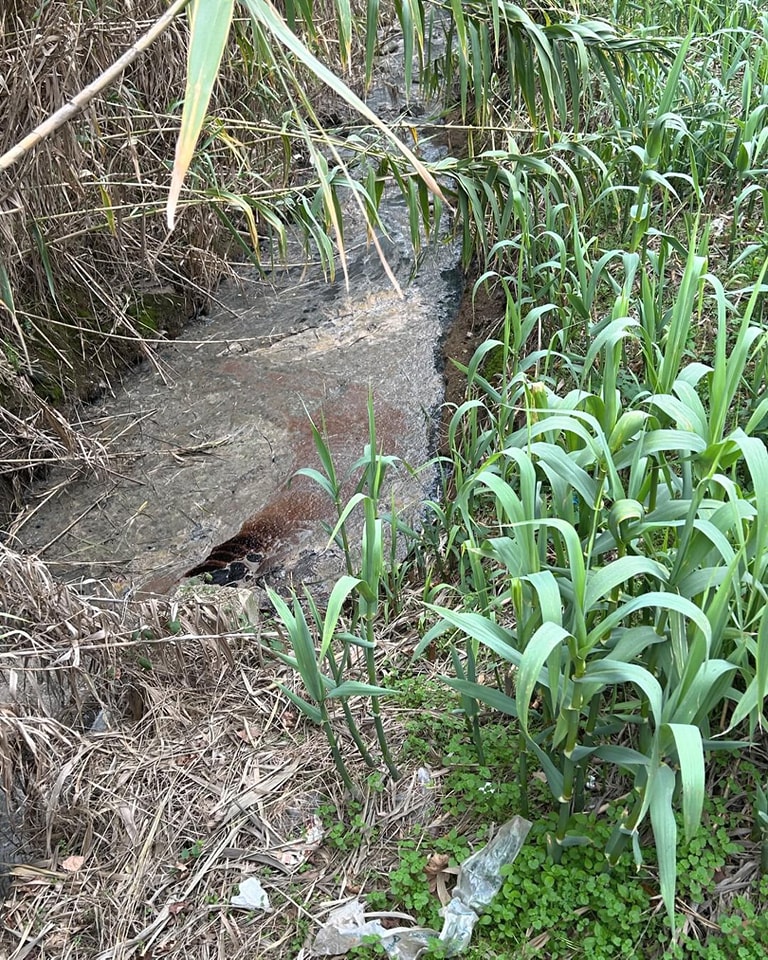 il fosso Carrocetello di Aprilia