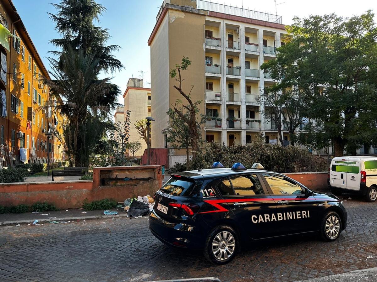 20 arresti per droga: operazione dei Carabinieri del Comando Provinciale di Roma. - 