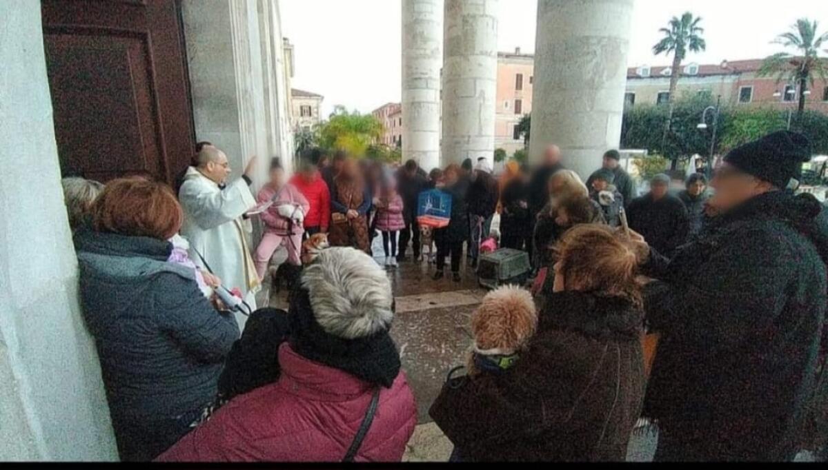 Festa di Sant’Antonio a Terracina, alcuni cani del canile alla benedizione degli animali - 