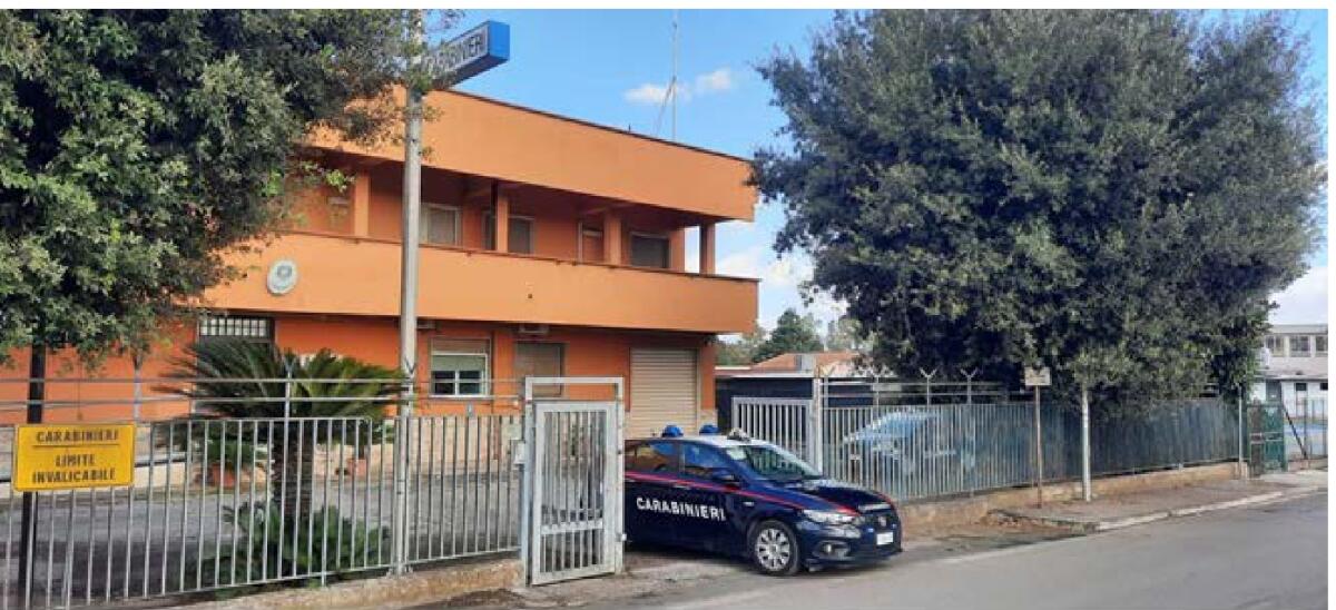 Combattimenti clandestini tra pittbull e maltrattamento di animali a Campoverde: i Carabinieri denunciano due persone. - 