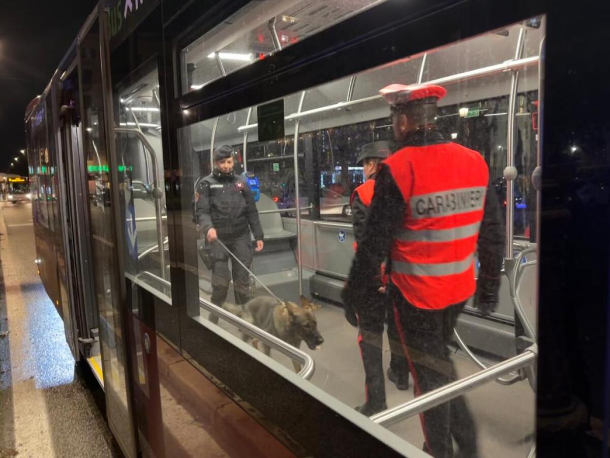 Ruba lo smartphone di una passeggera sul treno Nettuno-Roma, viene arrestato da due carabinieri liberi dal servizio. - 