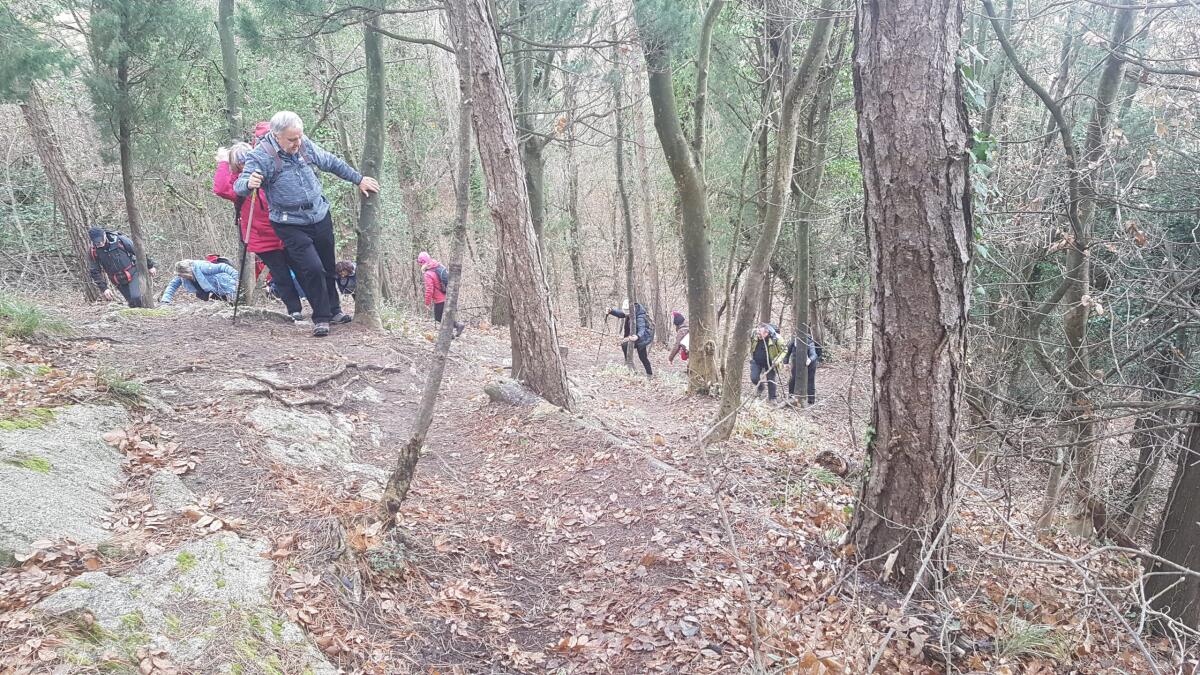 Il Cai di Aprilia inaugura l'anno al parco Antica Norba - 