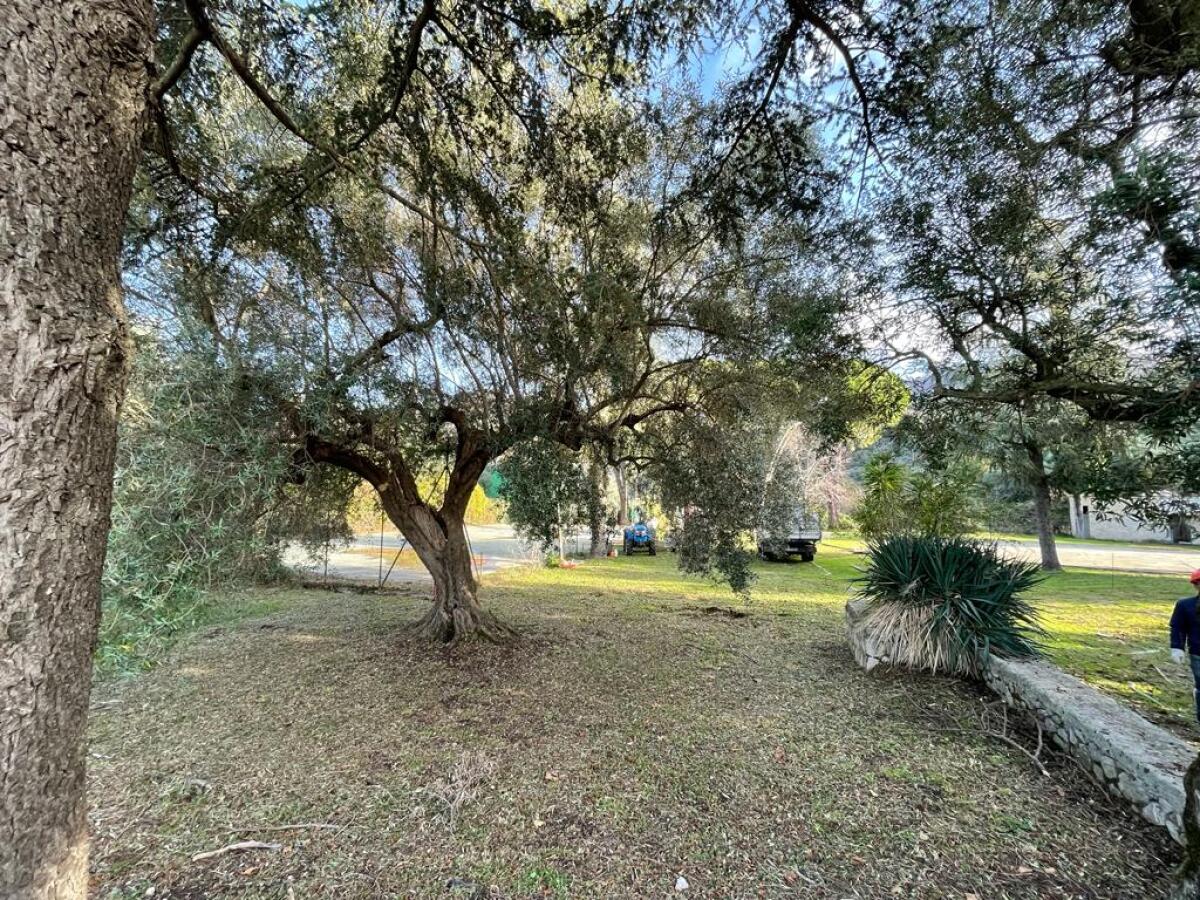 Il parco di Campo Vecchio a Sermoneta torna alla comunità: partiti i lavori. - 