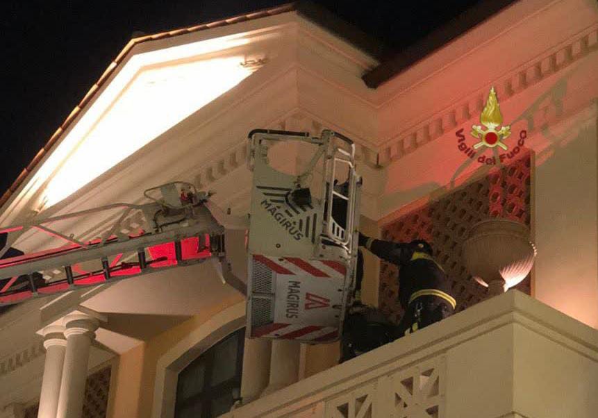 il falco recuperato dai vigili del fuoco all'Outlet di Castel Romano