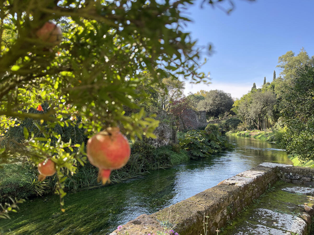 Giardino di Ninfa, ecco il calendario delle aperture del 2024 - 