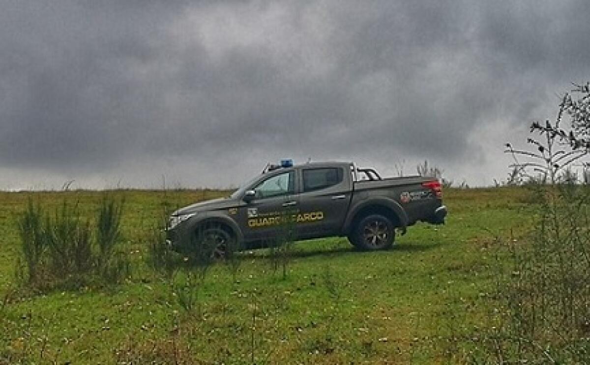Manufatti abusivi in costruzione nel parco dei Castelli, sequestrati - 