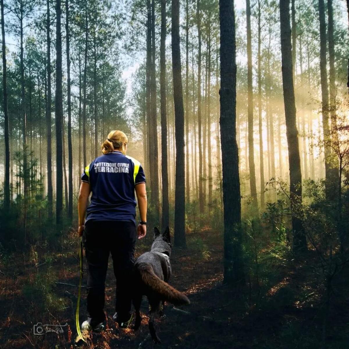 Soccorso a persone disperse: questa domenica a Terracina un'esercitazione della Protezione Civile. - 