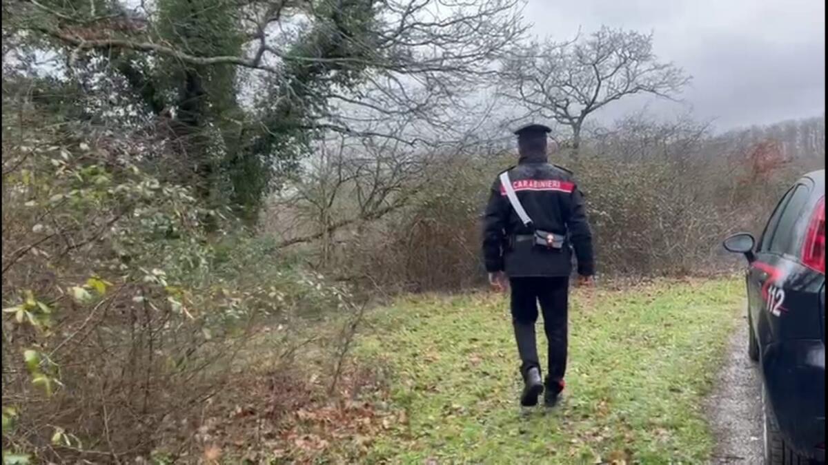 Sbranato e ucciso in un bosco da tre rottweiler, i carabinieri identificano i proprietari dei cani - 