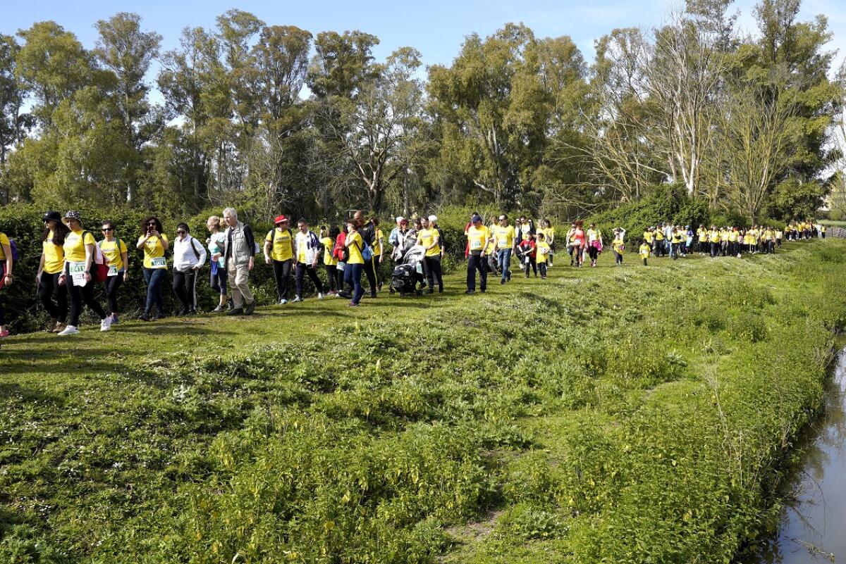 Questa domenica a Terracina la “Pedagnalonga” numero 50. Ecco le strade chiuse e tutto quello che c’è da sapere per i partecipanti. - 