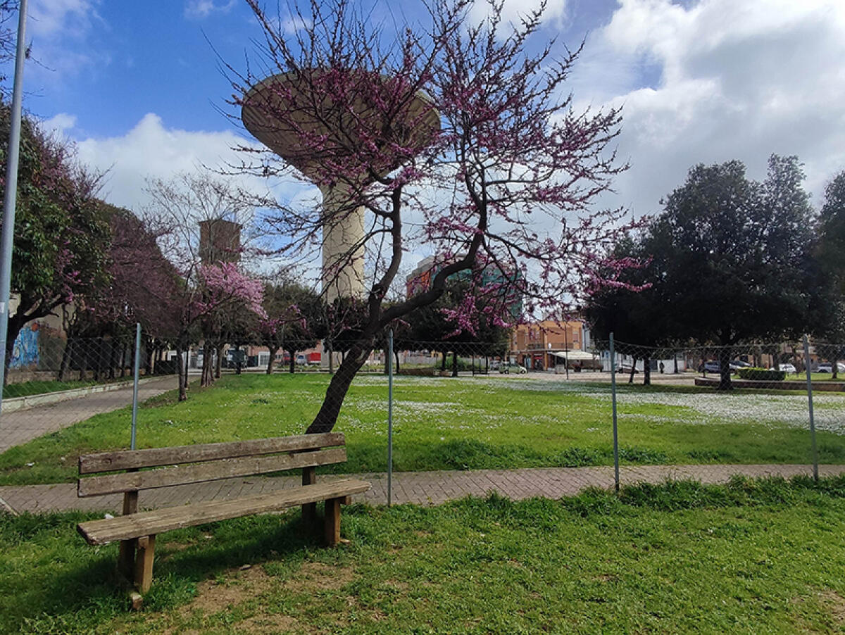 Disinfestazione notturna nelle aree cani comunali di Aprilia. Questo venerdì i Bau Park non saranno accessibili. - 