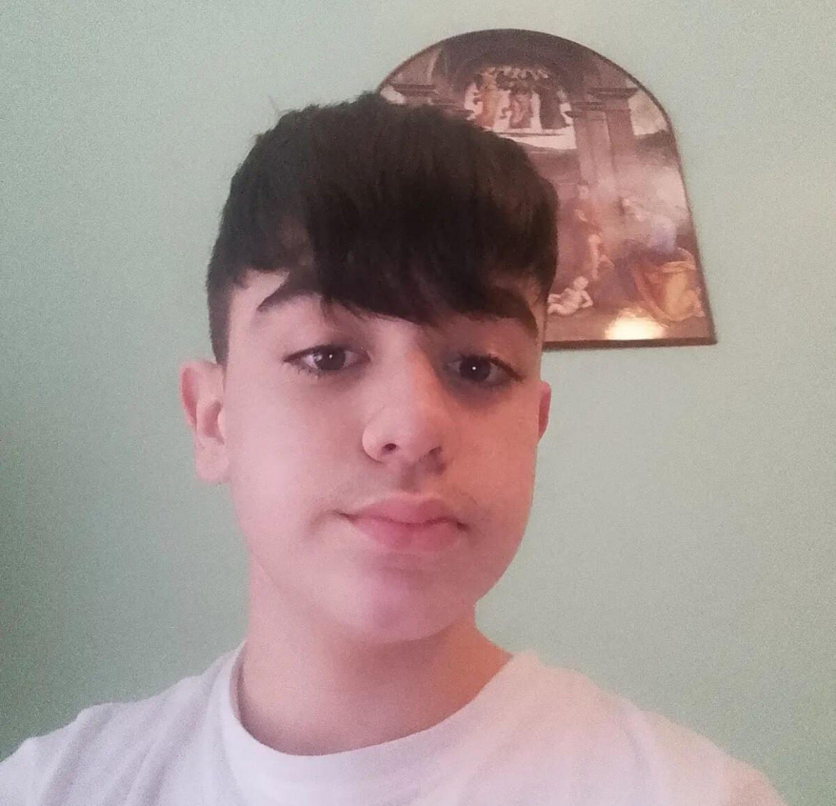 Giù dal dirupo al Lago di Nemi: muore il 14enne Fabrizio Procaccini - 