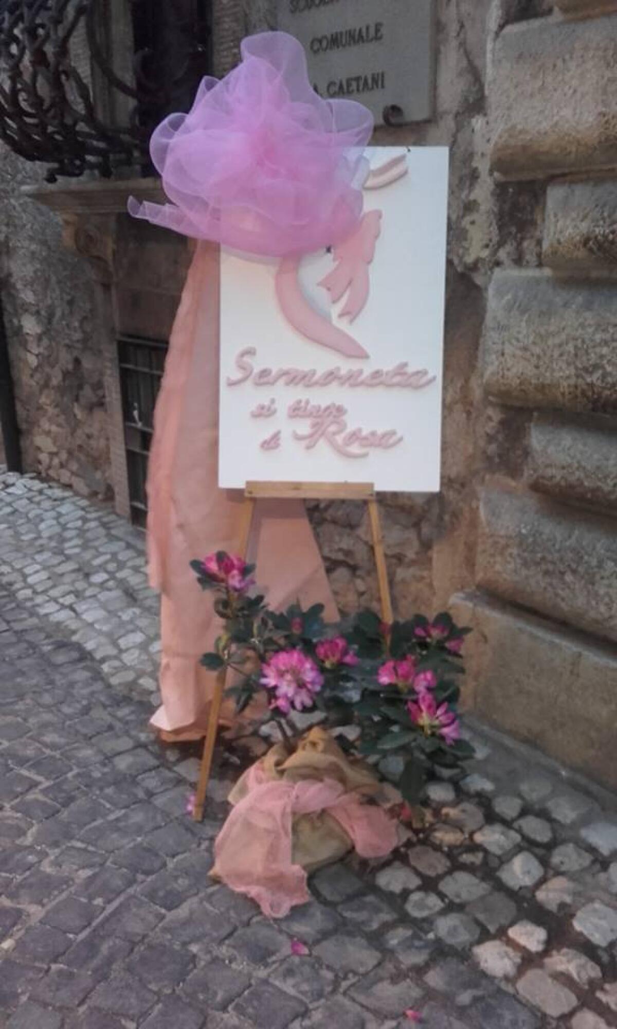 “Sermoneta si tinge di rosa”: questo weekend mostre, libri, musica, visite guidate ed il convegno sul “Turismo di ritorno”. - 