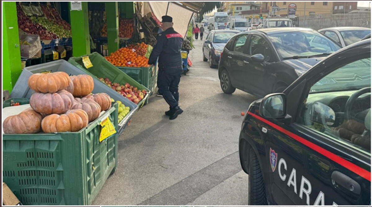 Aprilia: servizi straordinari di controllo a Vallelata - 