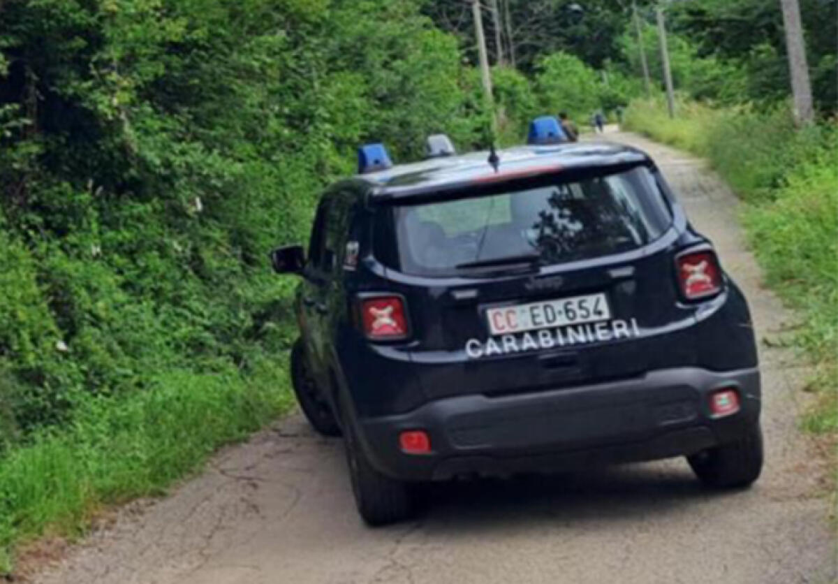 Cade dalla scala e finisce in un fossato. Infortunio sul lavoro nella cittadina di Campodimele. - 