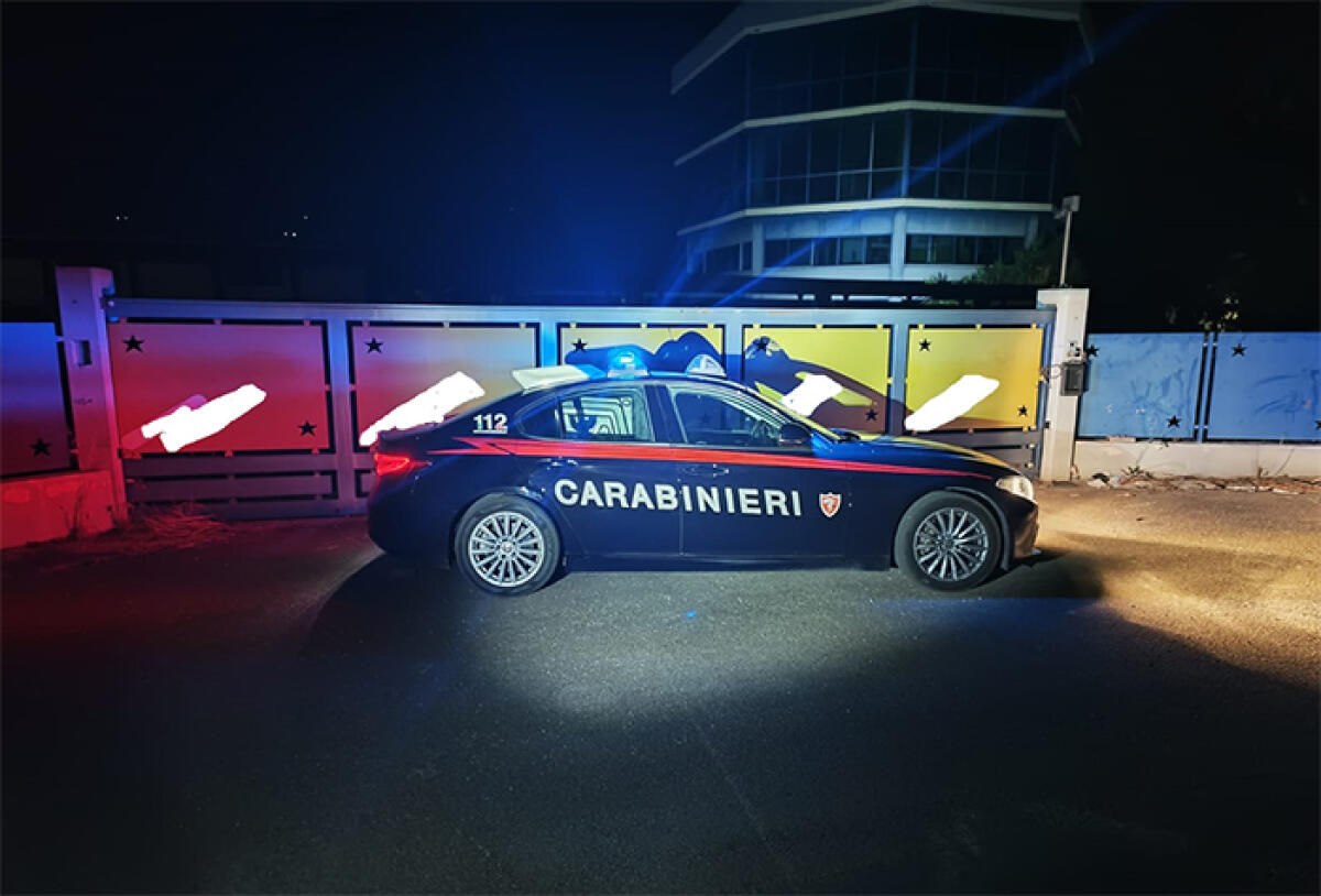 Aggrediscono un operaio nel tentativo di rubare un furgone da un’azienda posta sotto sequestro. - 