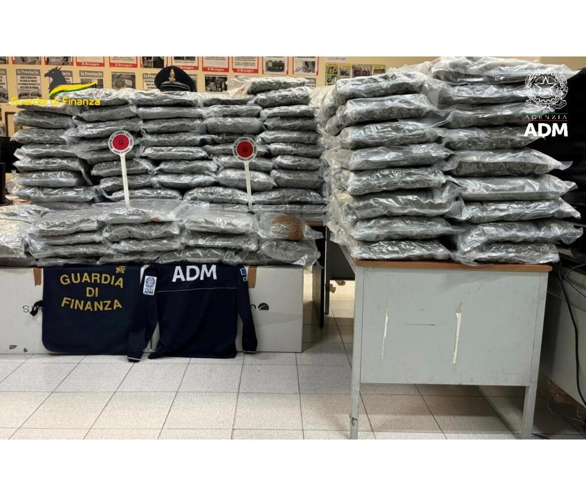 I Finanzieri del Comando Provinciale di Roma eseguono un nuovo maxi sequestro di droga: 442 chili di marijuana. - 