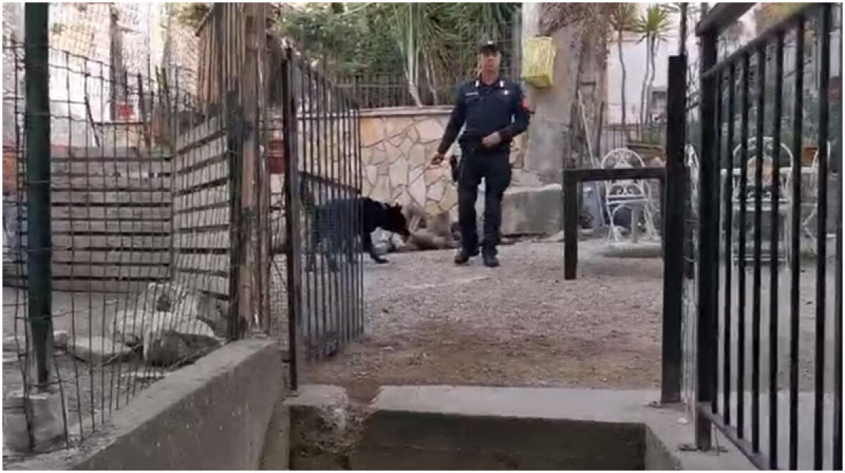 Spaccio nel sud pontino: 4 arresti - 